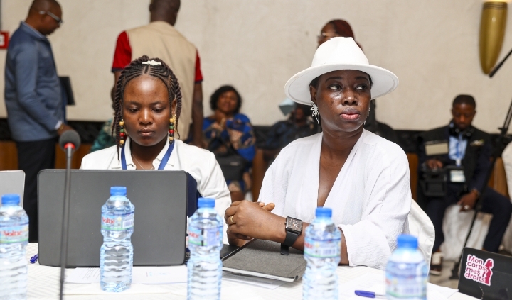 Consultation des jeunes du RIJF à Lomé : l&rsquo;association JUNA s&rsquo;illustre avec brio